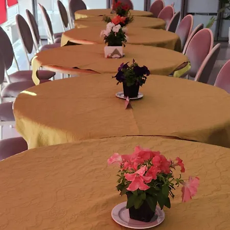 Ξενοδοχείο Kompleksi Cfn Albania Bucimas