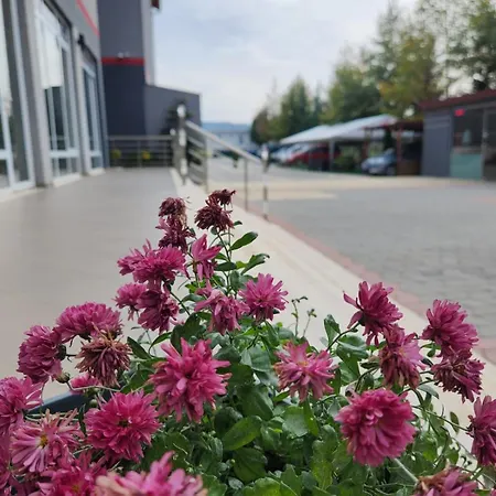 Kompleksi Cfn Albania Bucimas