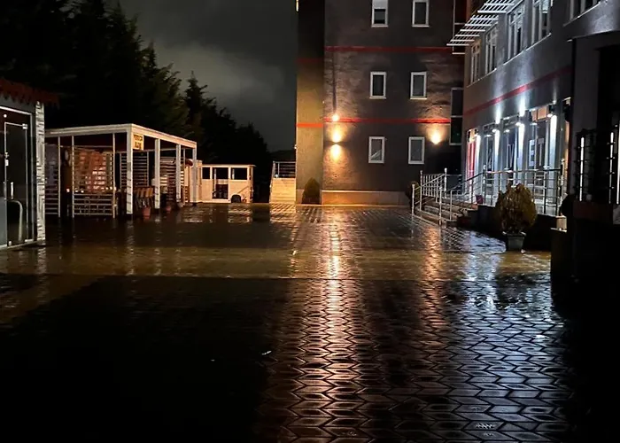 Kompleksi Cfn * Bucimas