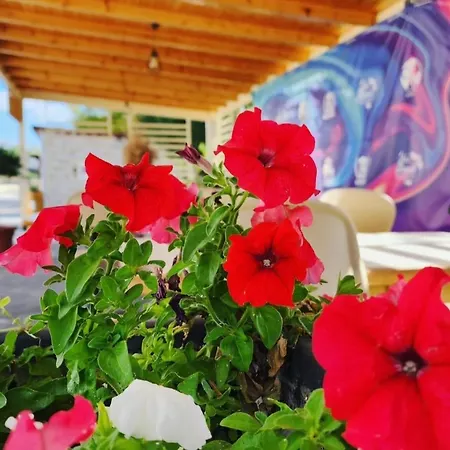 Hotel Kompleksi Cfn Albania