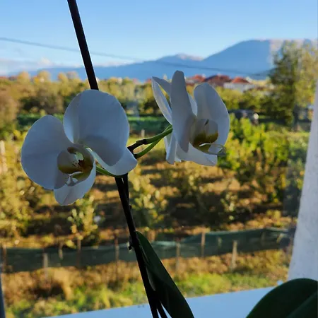 Kompleksi Cfn Albania Hotel