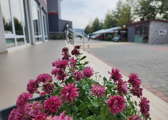 Kompleksi Cfn Albania Bucimas