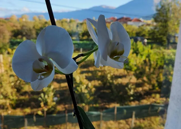 Kompleksi Cfn Albania Hotel